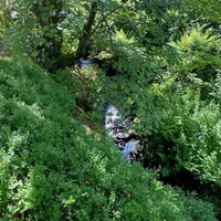 Property 4