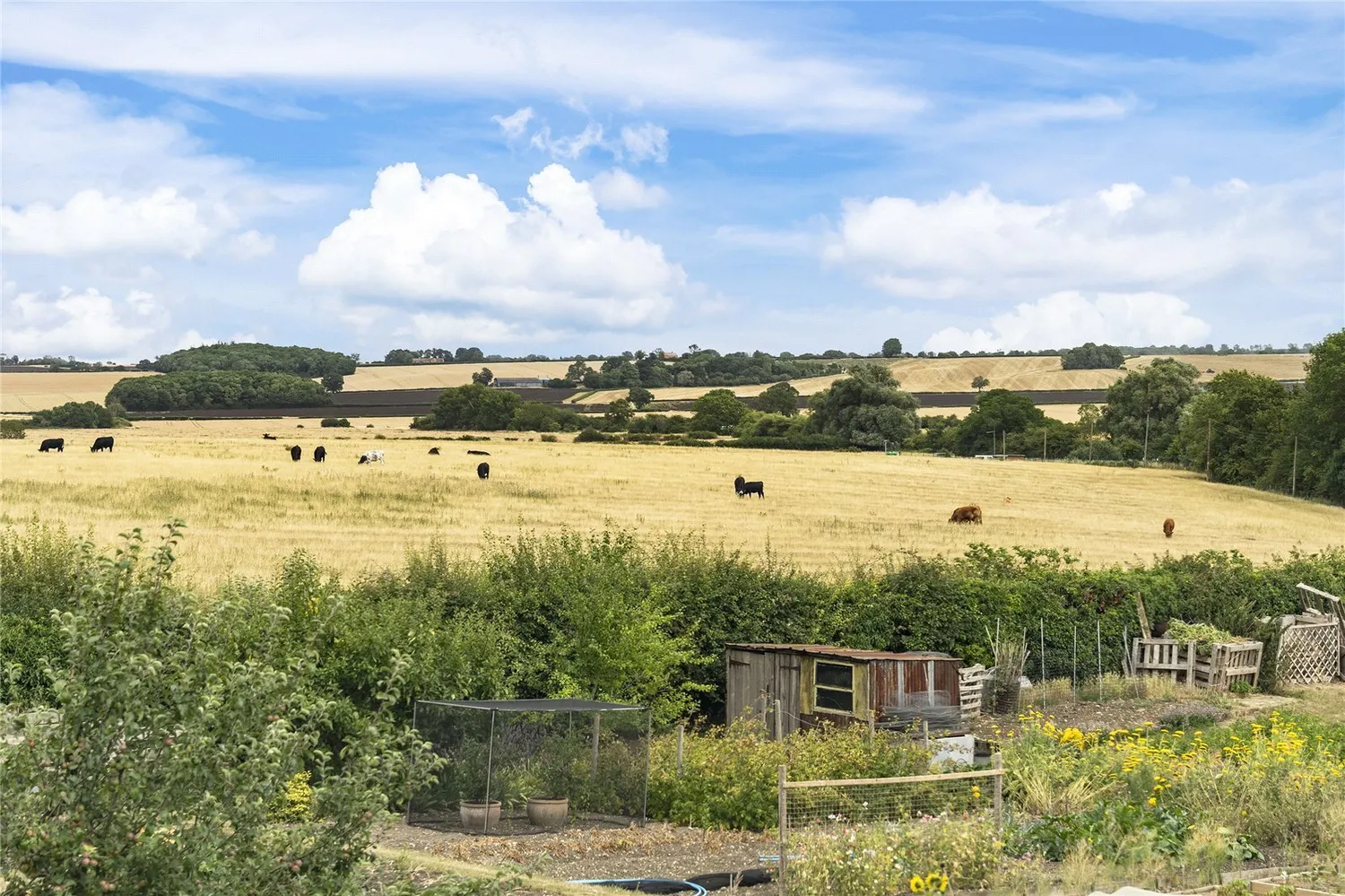 St. Andrews Lane, Titchmarsh, NN14 photo 23