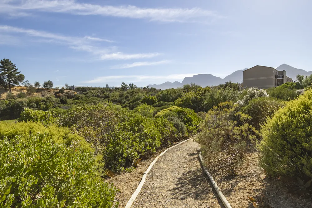South Africa, Western Cape, Sir Lowrys Pass, Blue Rock Road, 47
