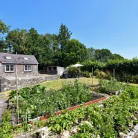 Property 29