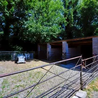 Property 33