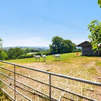 Property 34