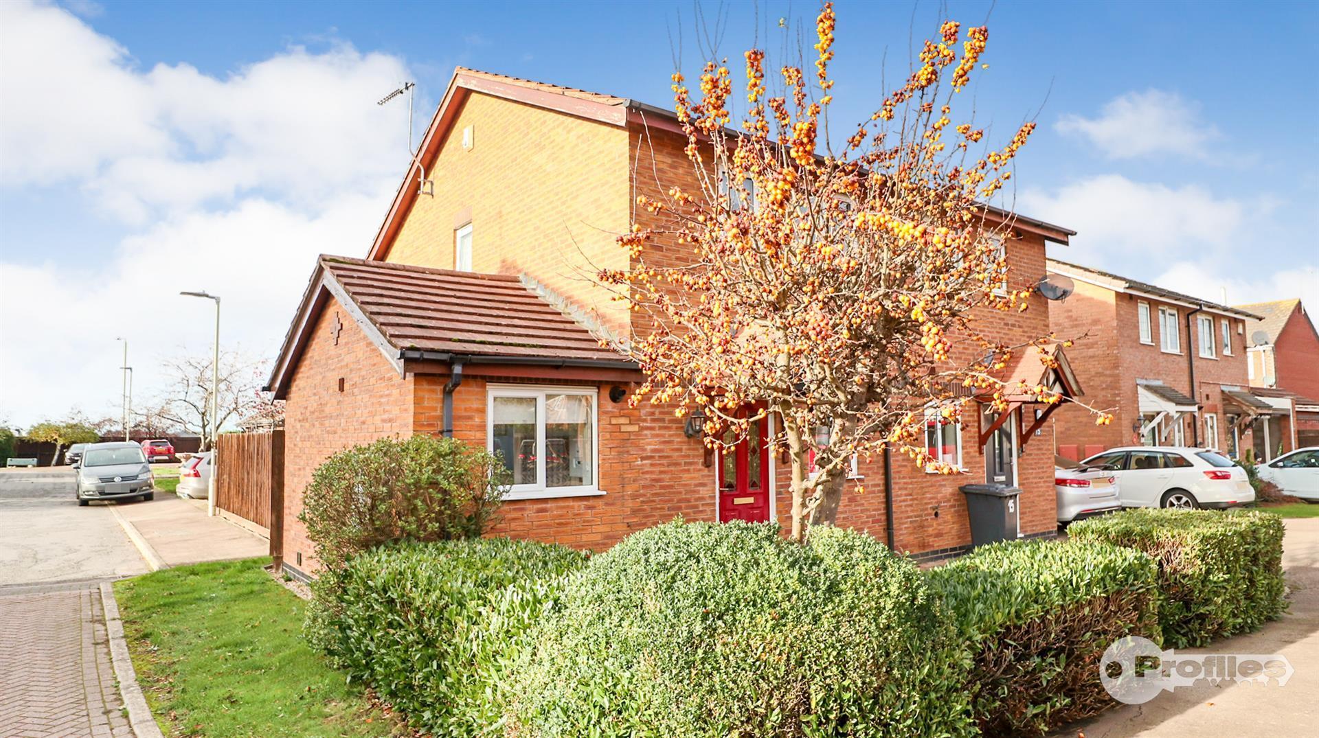 Freswick Close, Hinckley Image 19