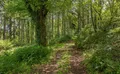 Property image gallery
