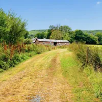 Property 36