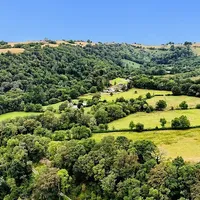 Property 38