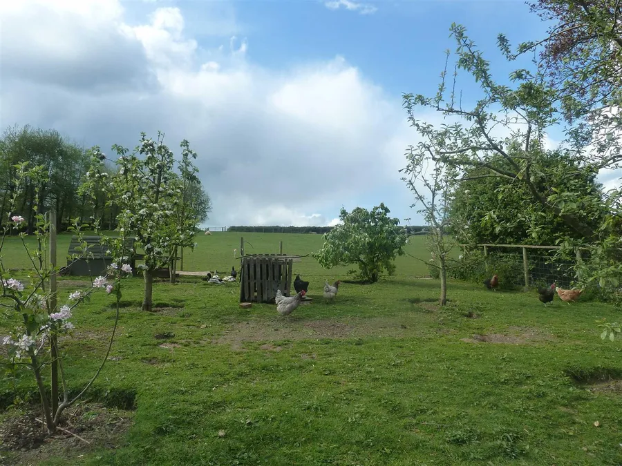 Property Image 8
