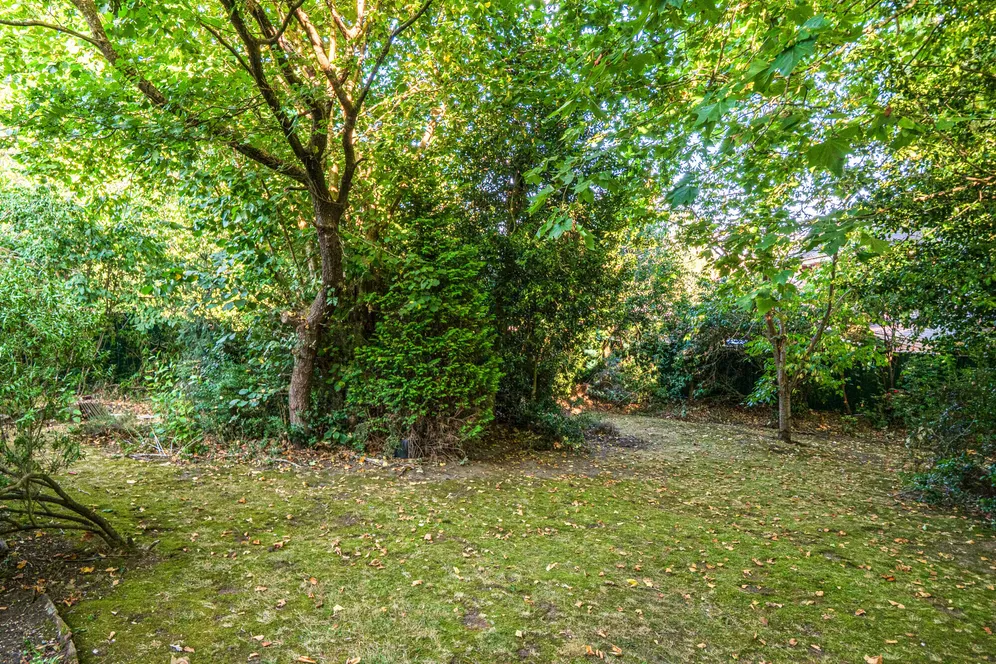 Northcliffe Drive, Totteridge, N20 photo 15