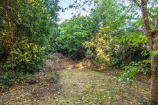 Northcliffe Drive, Totteridge, N20 photo 16