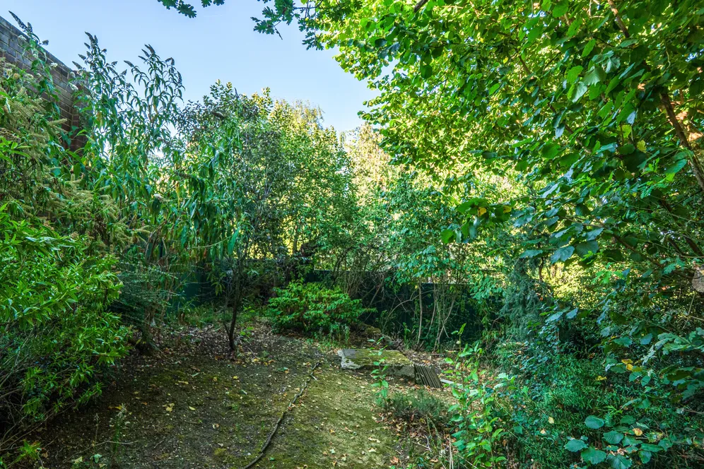 Northcliffe Drive, Totteridge, N20 photo 18