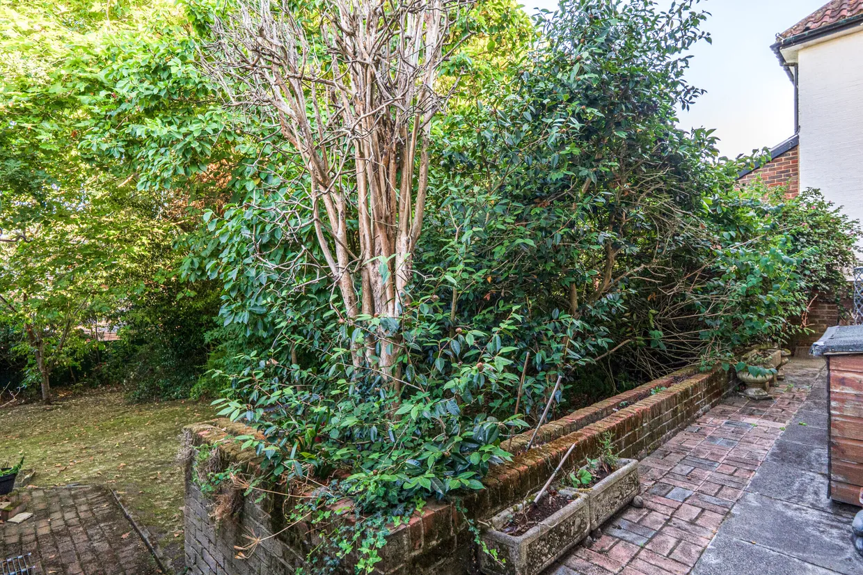 Northcliffe Drive, Totteridge, N20 photo 20