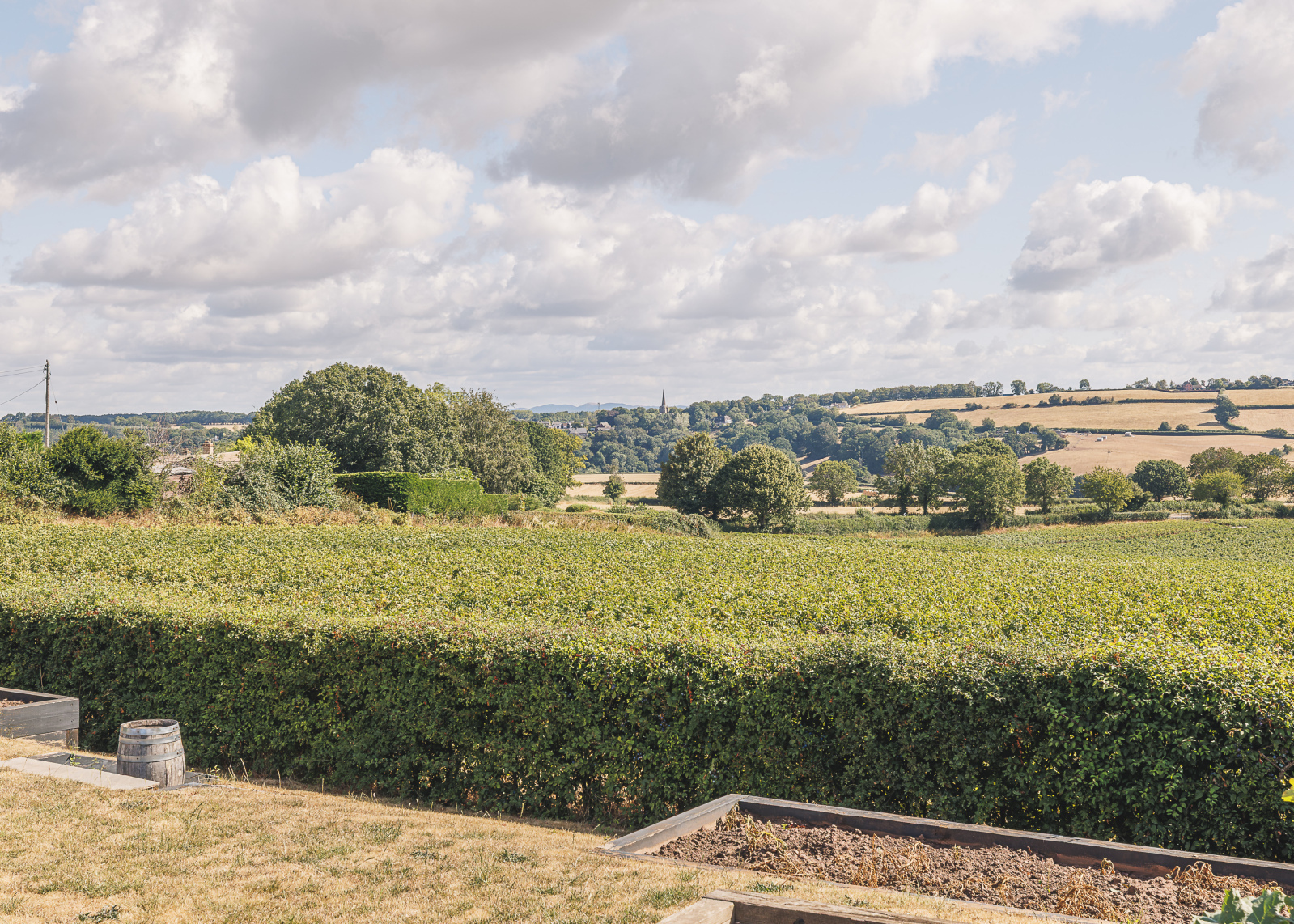 Eastview Gardens, Bromsash, Ross-on-Wye, Herefordshire, HR9 Image 18
