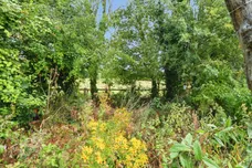 Thornage Road, Little Thornage, Holt