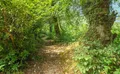 Property image gallery