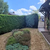 Property 22