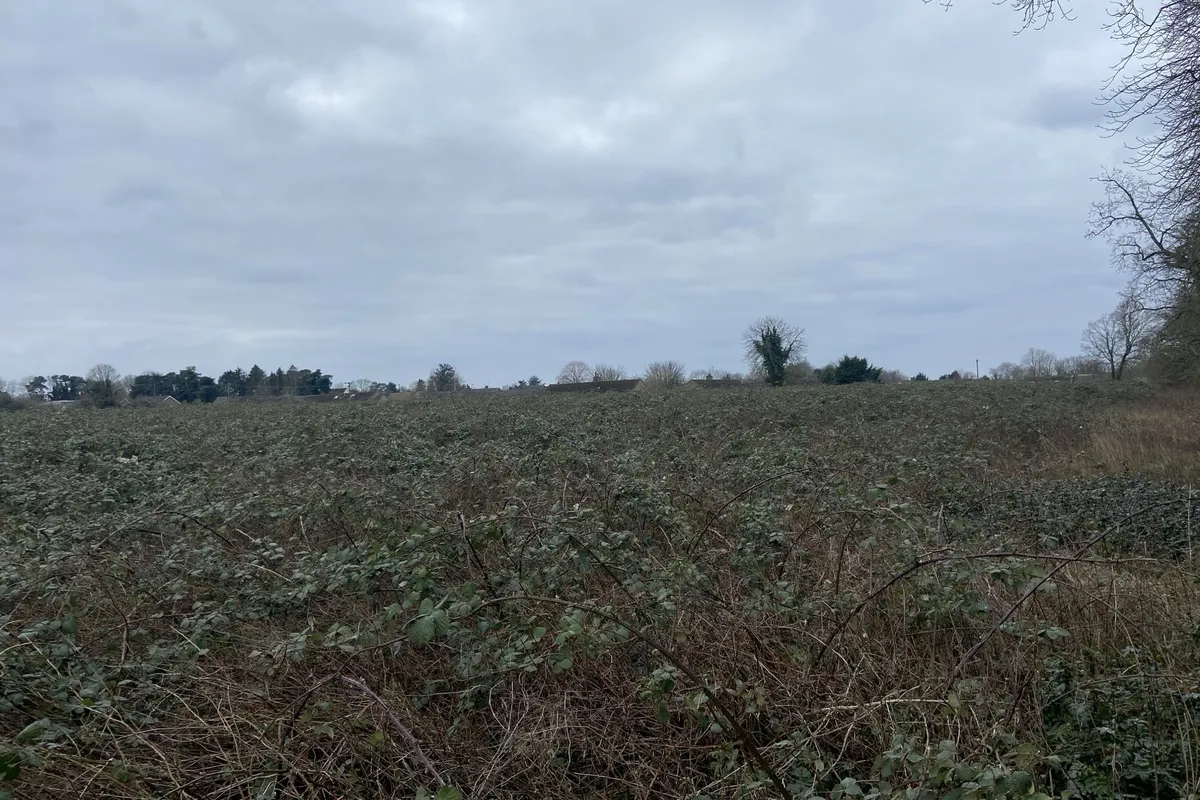 Barr Drive, Lakenheath, Brandon