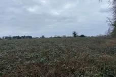 Barr Drive, Lakenheath, Brandon
