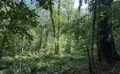 Property image gallery