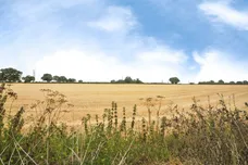 Station Road, Blaxhall, Woodbridge