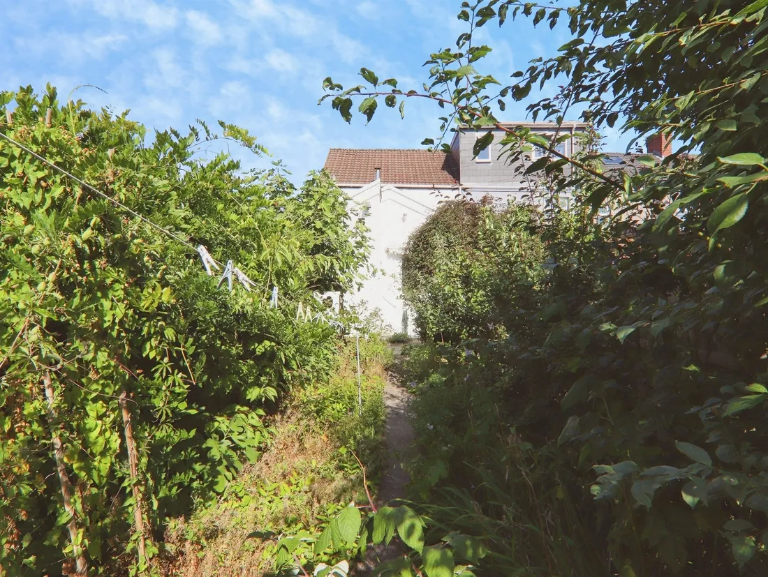 Property photo 19
