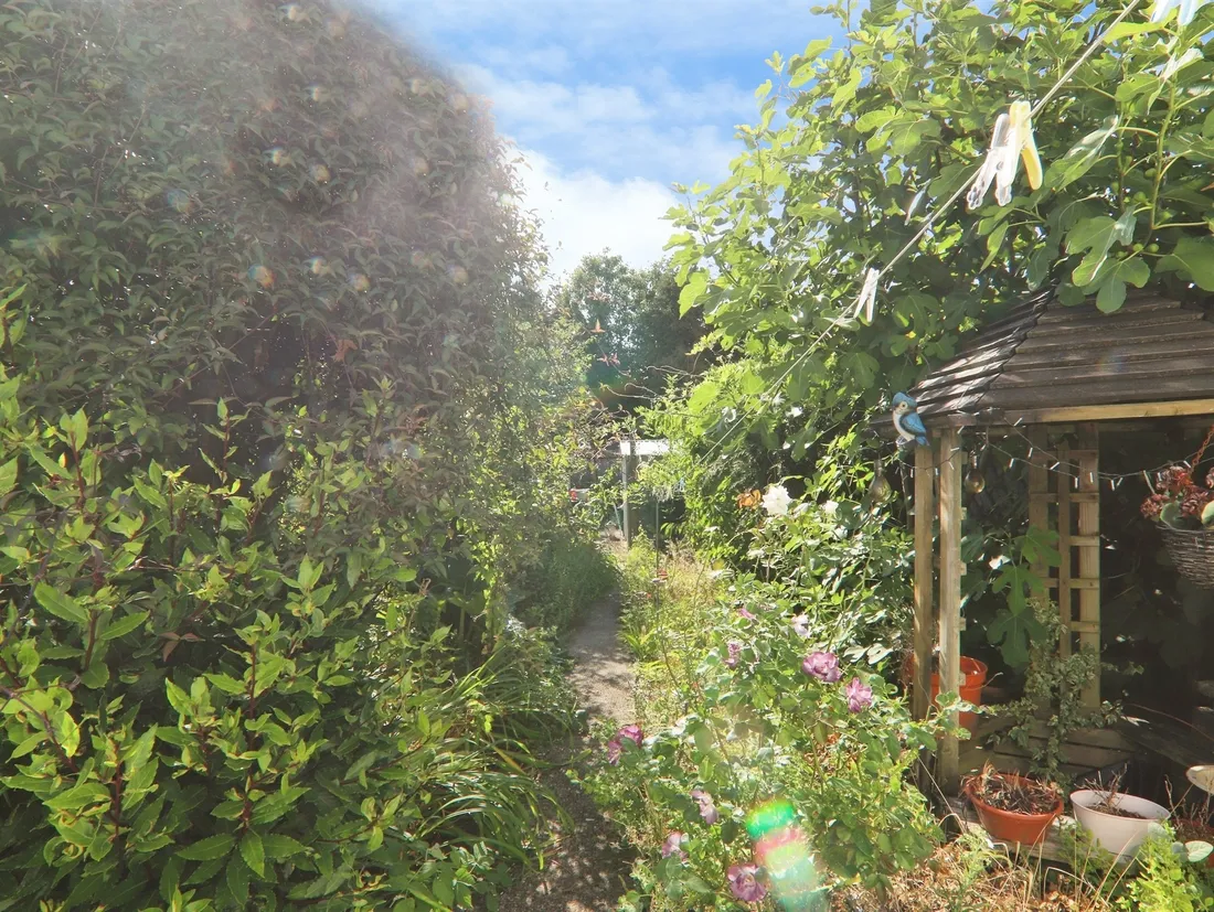 Property photo 20