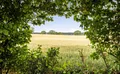 Property image gallery