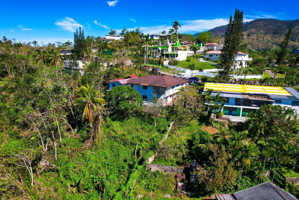 FORT GEORGE CRESCENT Kingston  St. Andrew