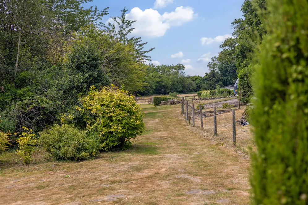 Dinton, Salisbury, SP3 photo 17