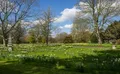 Property image gallery