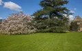 Property image gallery