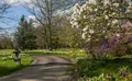 Property image gallery