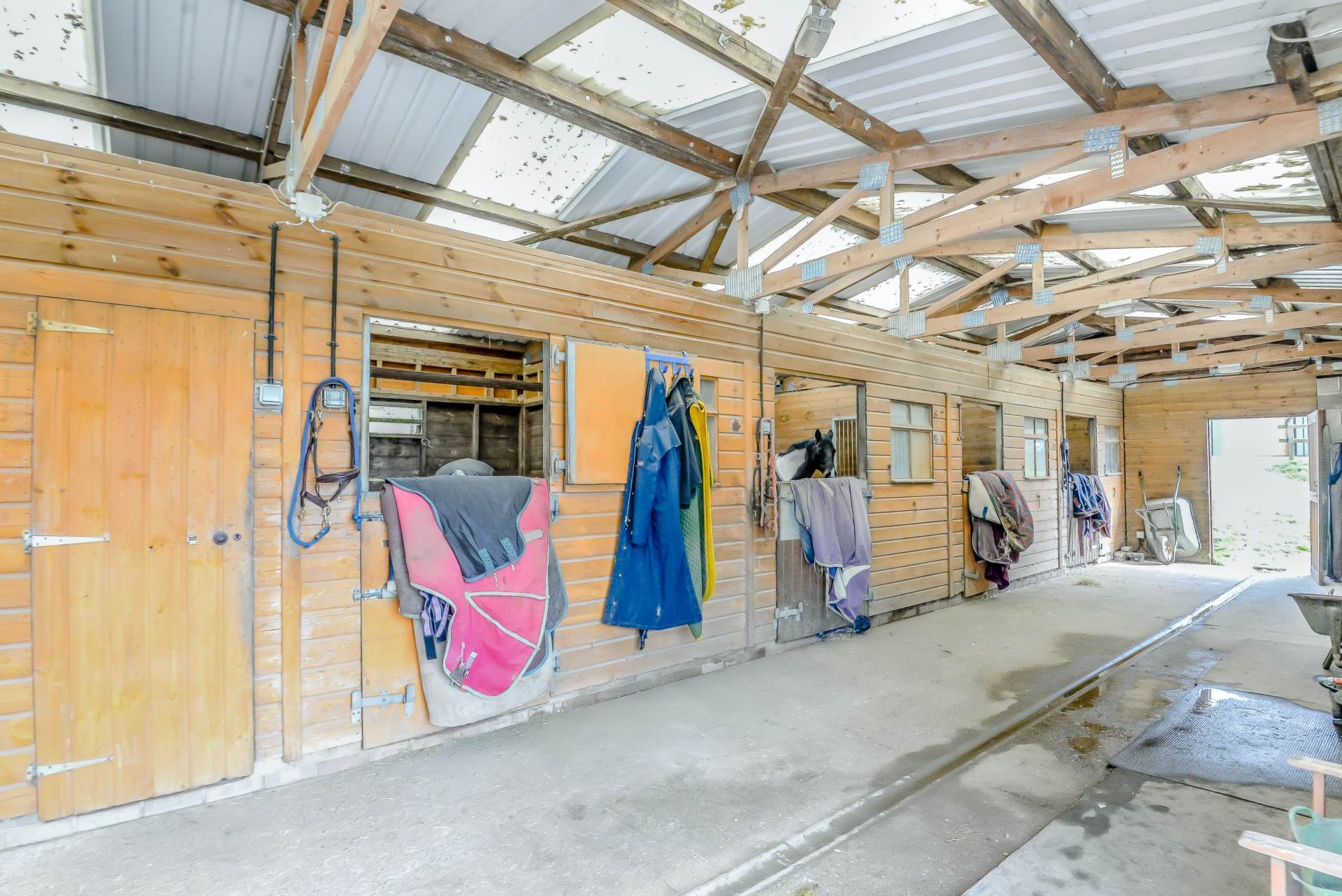 East Knoyle, Country House & Equestrian, 9 Acres. Image 20