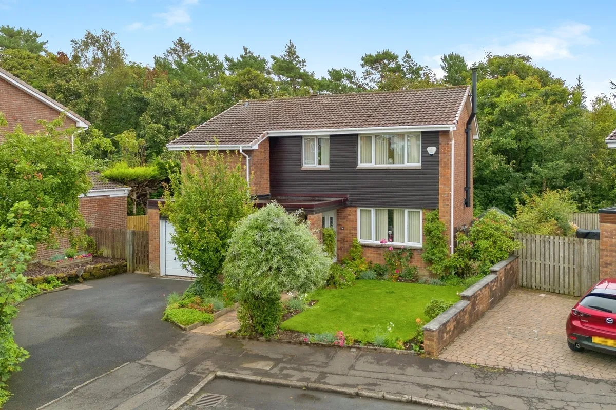Forest Grove, Kilmarnock