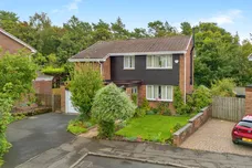 Forest Grove, Kilmarnock
