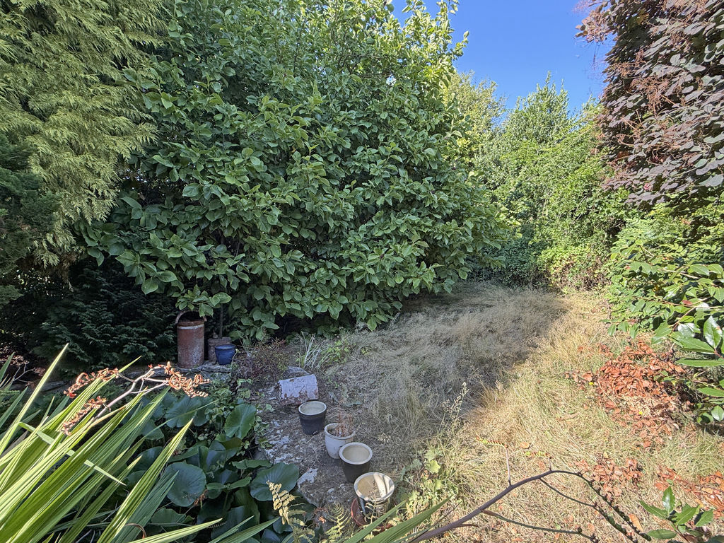 Salcombe Hill Road, Sidmouth Image 19