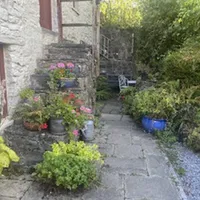 Property 32