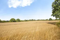 Perry Lane, Langham, Colchester