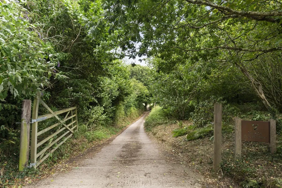 Property Image 40