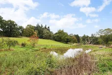 Cods Hill Beenham RG7 photo 11