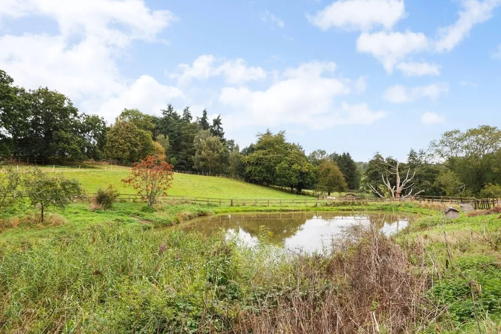Cods Hill Beenham RG7 photo 11