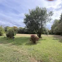 Property 29