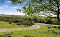 Property image gallery