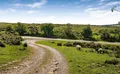 Property image gallery