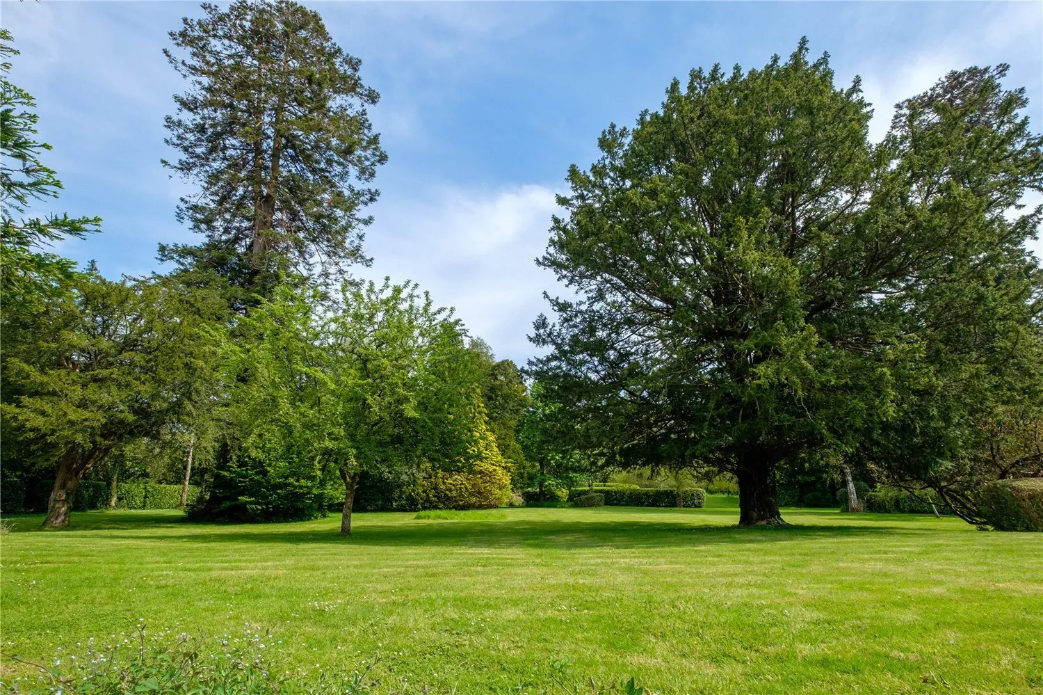 Frampton, Dorchester, DT2 photo 28