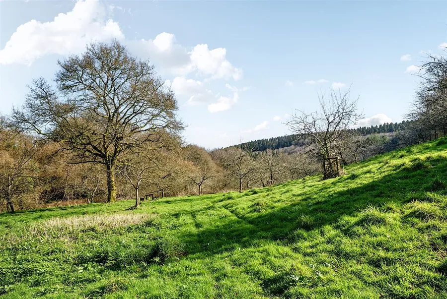 Property Image 32