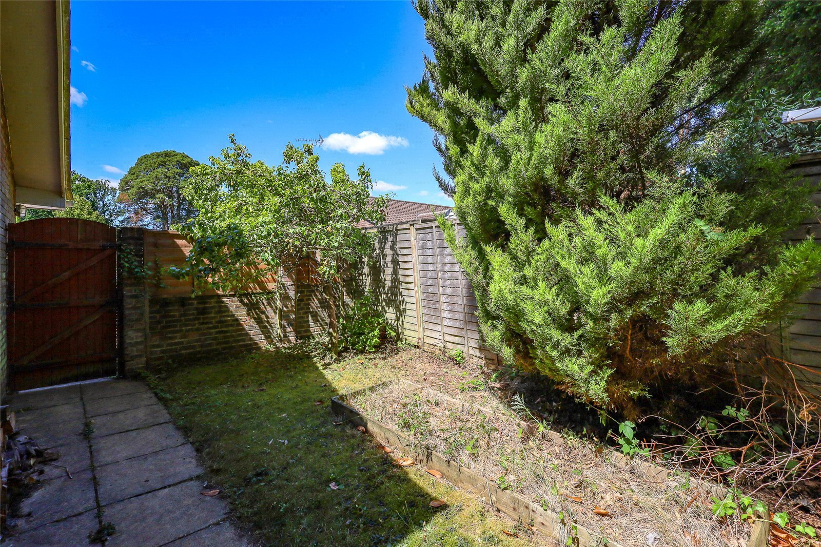 Pine Walk, Liss, Hampshire, GU33 Image 14