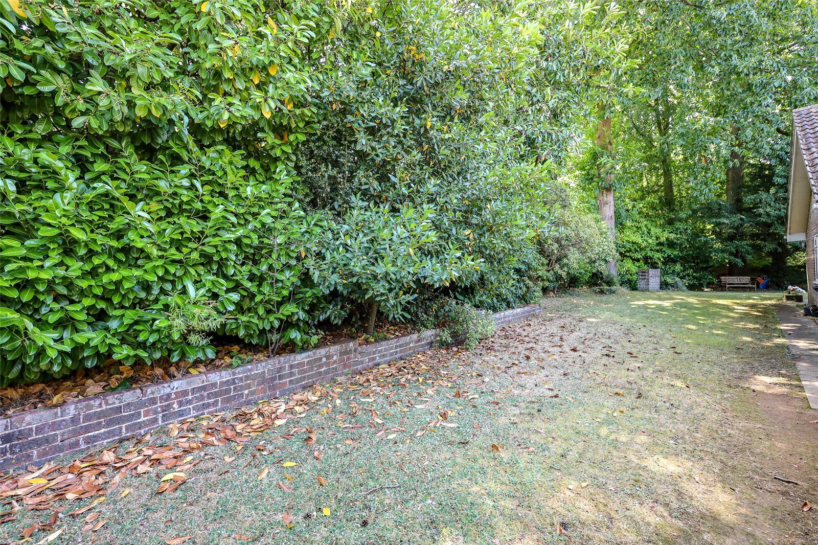 Pine Walk, Liss, Hampshire, GU33 Image 15