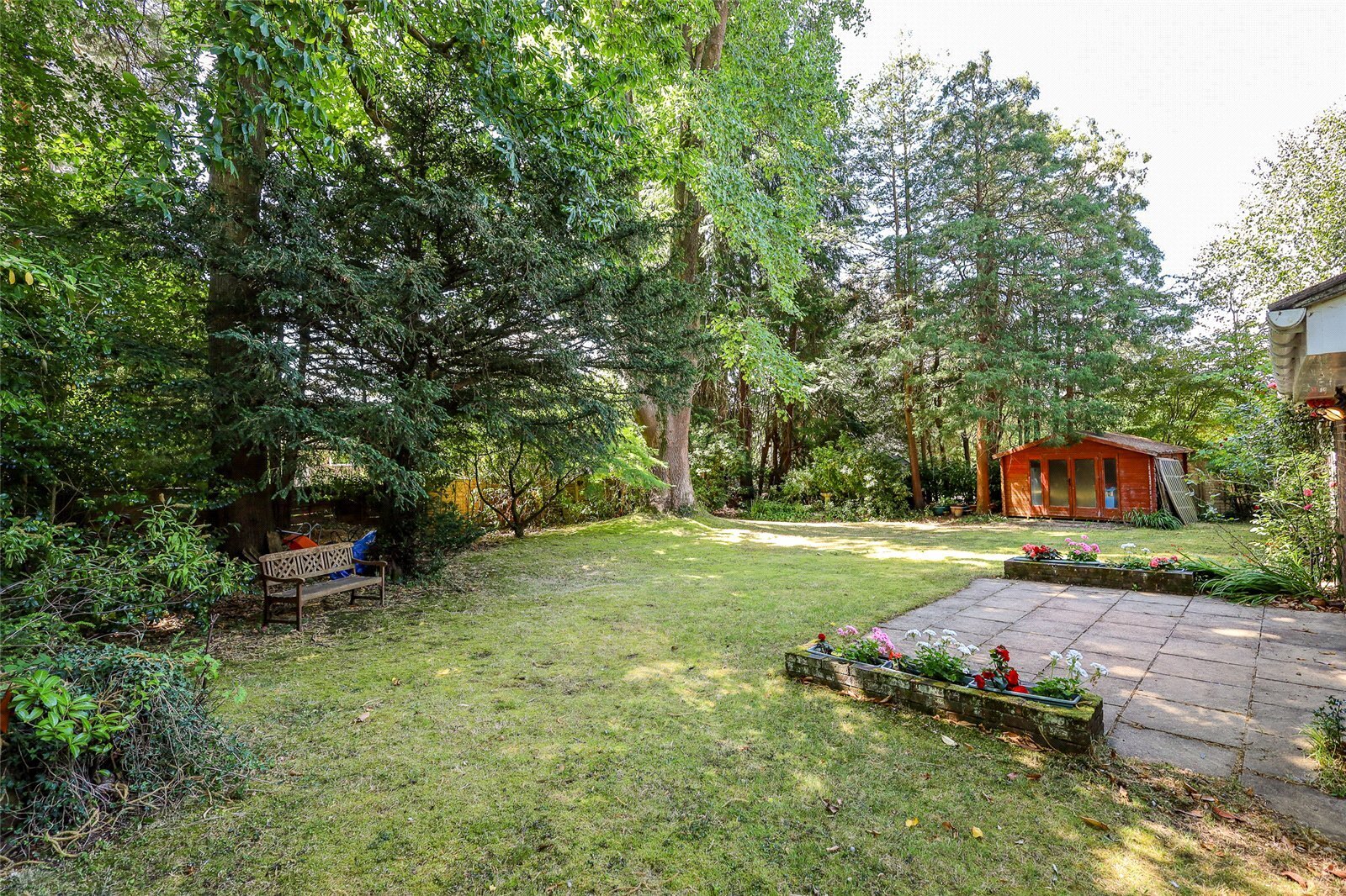 Pine Walk, Liss, Hampshire, GU33 Image 16