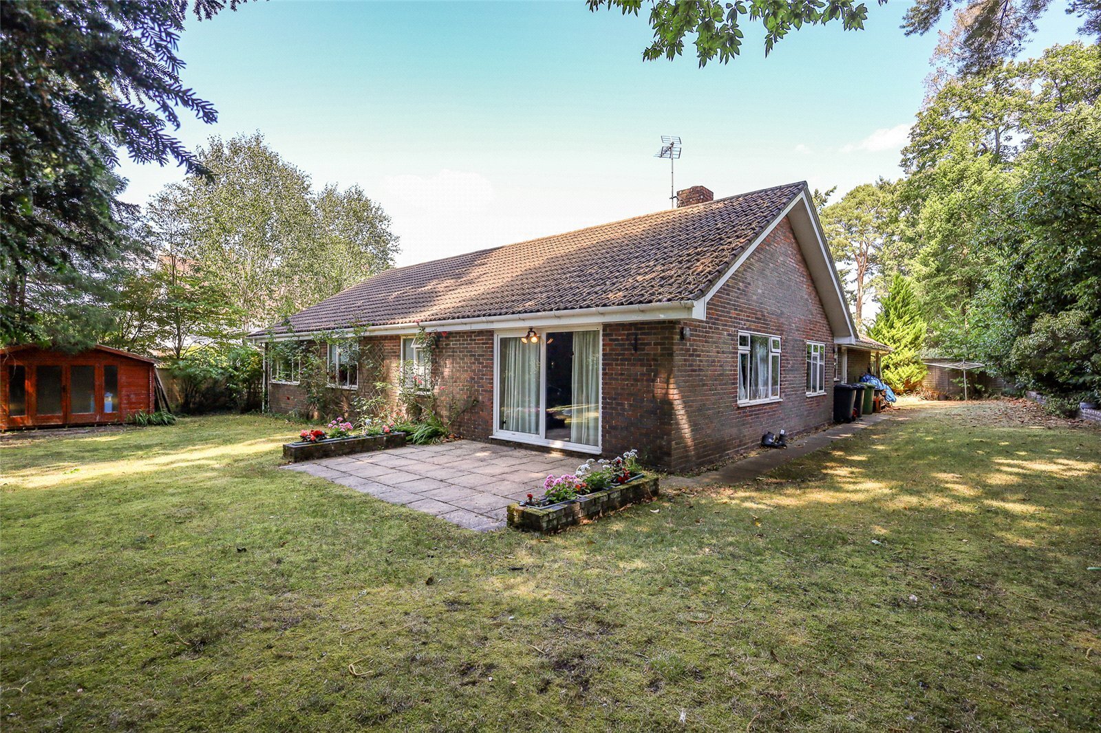 Pine Walk, Liss, Hampshire, GU33 Image 18