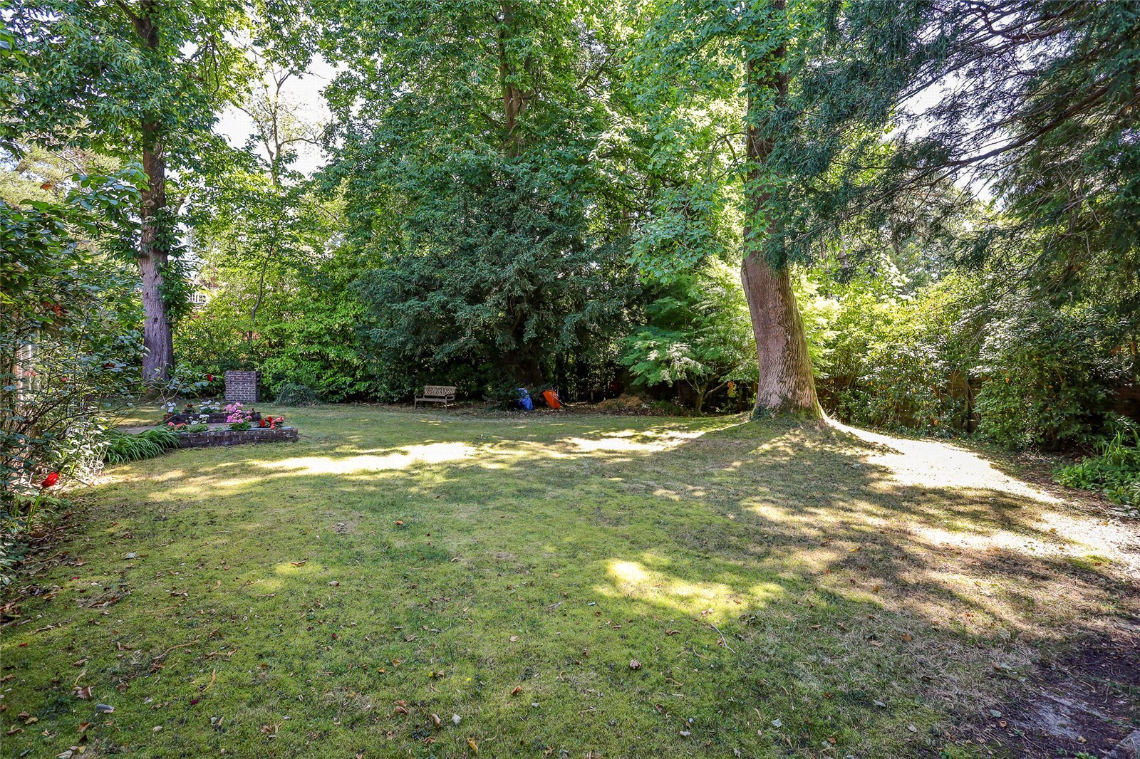 Pine Walk, Liss, Hampshire, GU33 Image 20